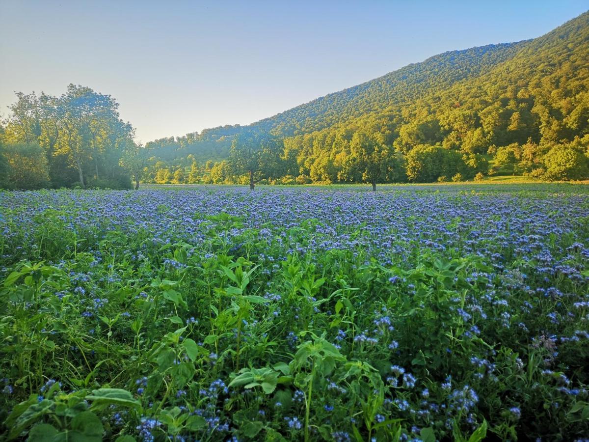 Ferienwohnung Im Haus Lotus Mit Grossem Balkon Und Garten Бад-Урах Экстерьер фото